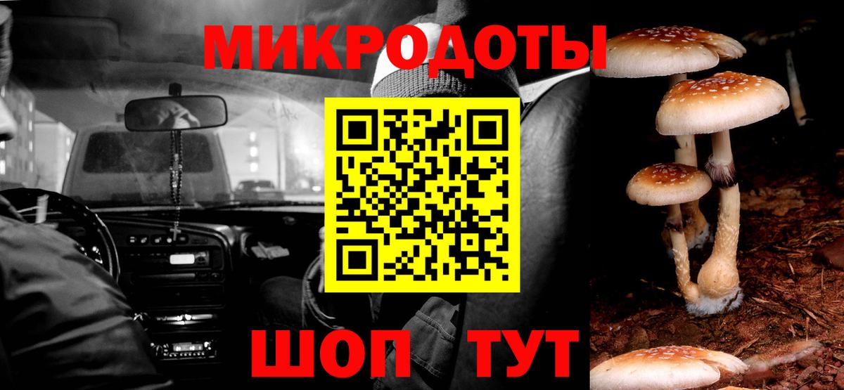 Галлюциногенные грибы прущие грибы Надым