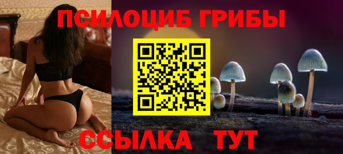Надым  Галлюциногенные грибы Psilocybine cubensis  Вход с VPN  Галлюциногенные грибы ЛСД 